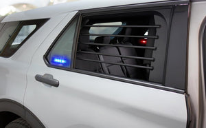 2015+ Ford F-150 Window Bars