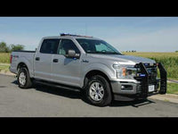 2015+ Ford F-150 Mesh Window Guards
